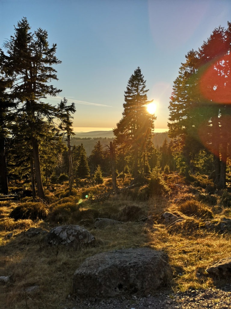 Harz Blick mit Abendstimmung